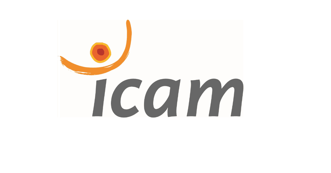 ICAM Lille
