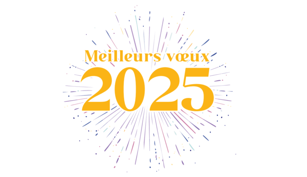 Meilleurs Vœux 2025 !