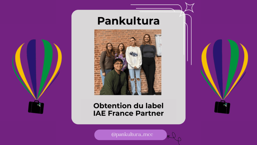 Pankultura : association culturelle de l’IAE Lille labellisée IAE France Partner !