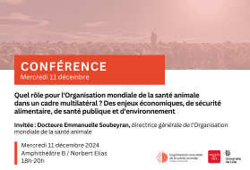 Conférence avec Emmanuelle Soubeyran, directrice générale de l&rsquo;Organisation mondiale de la santé animale