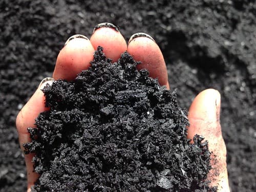 LE BIOCHAR, HÉRO MÉCONNU DES VILLES PERMÉABLES.